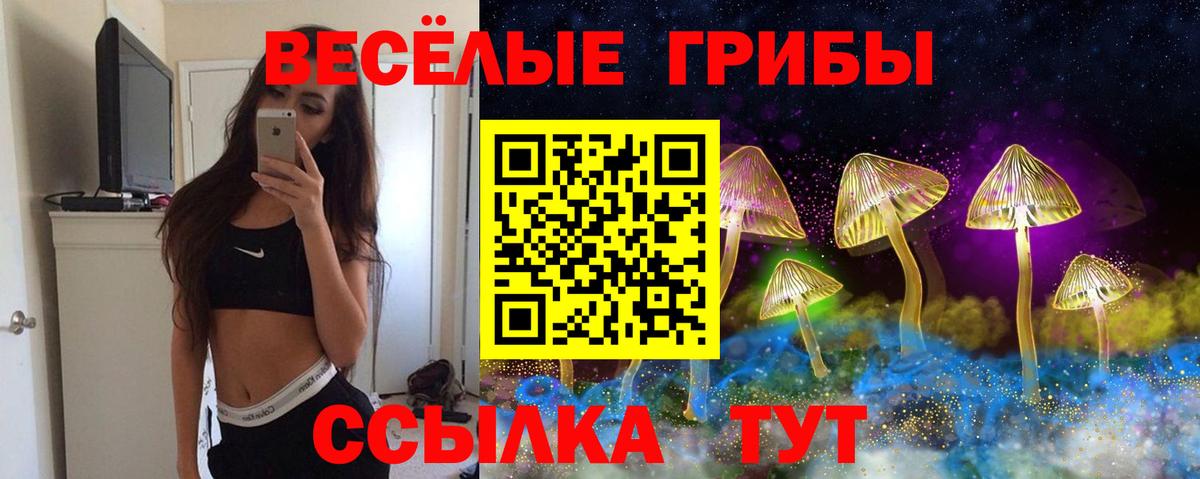 Кушва  Псилоцибиновые грибы Cubensis  Вход с VPN  Псилоцибиновые грибы Magic Shrooms 