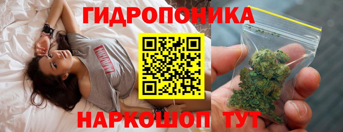 Шишки марихуана White Widow  Каннабис индика  Каннабис гибрид  Кушва  Канабис марихуана  Вход с VPN 